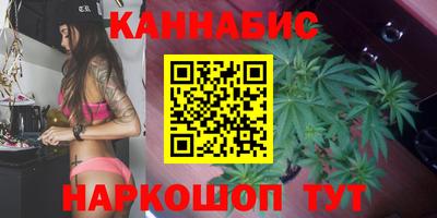 мдпв Обь
