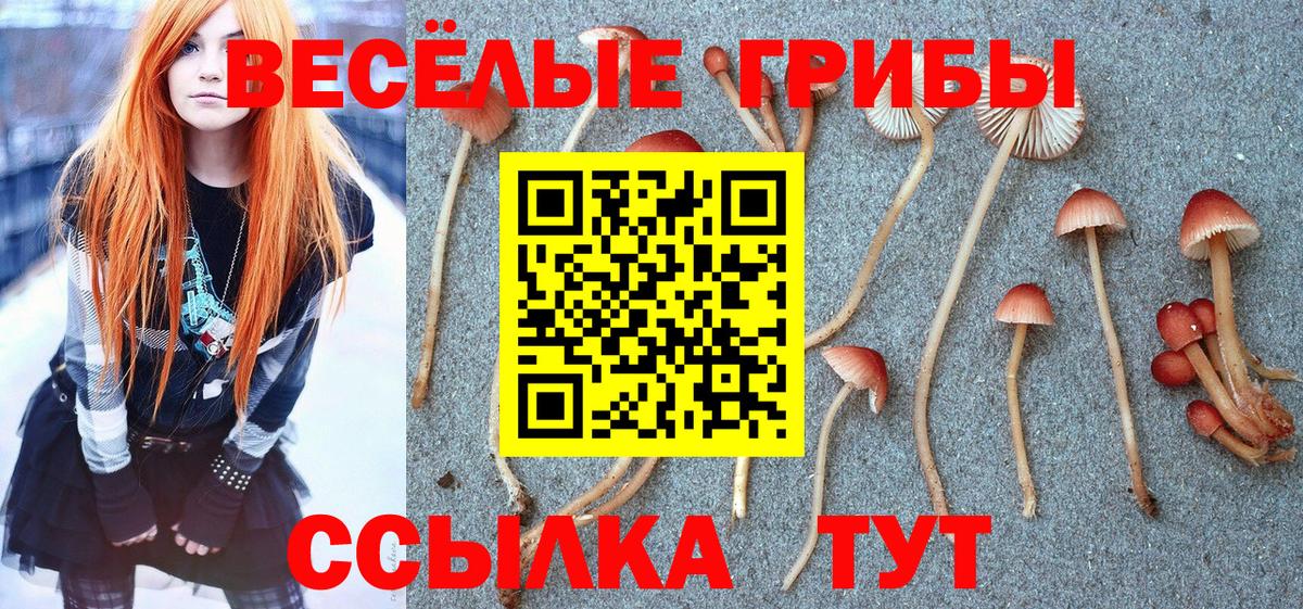 Челябинск  Галлюциногенные грибы Magic Shrooms  Вход с VPN 