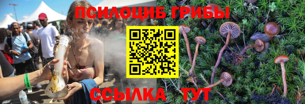 Псилоцибиновые грибы ЛСД Челябинск